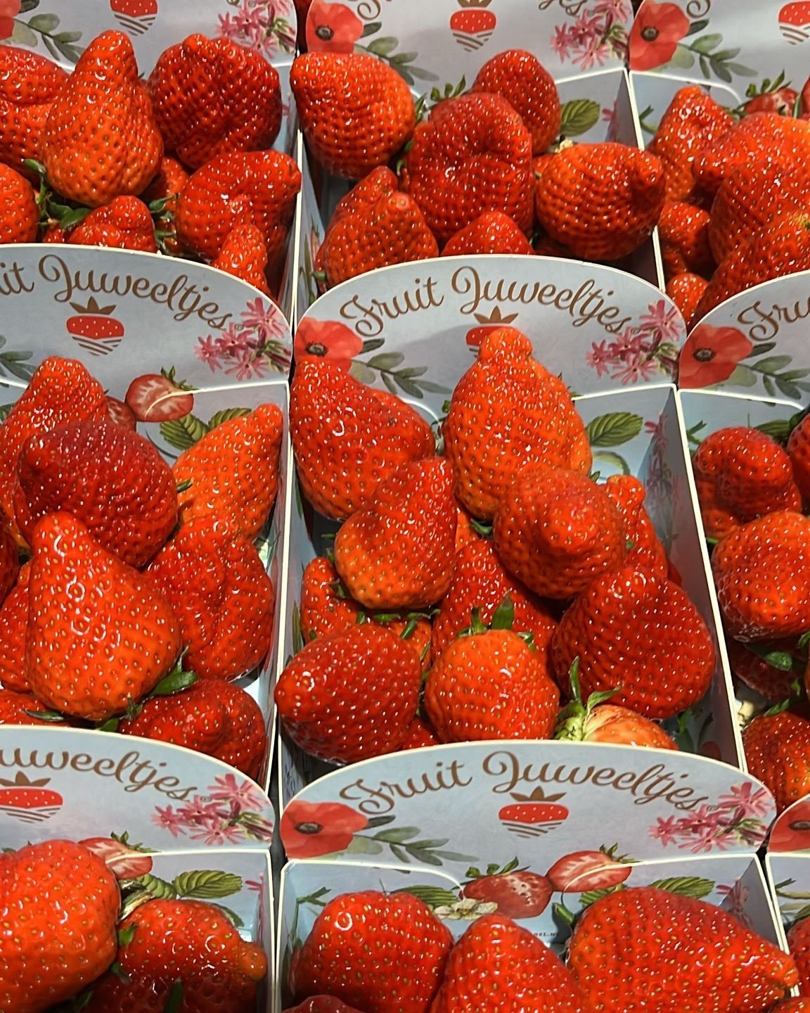 657344467 1409397117655145 50332631052543341 n